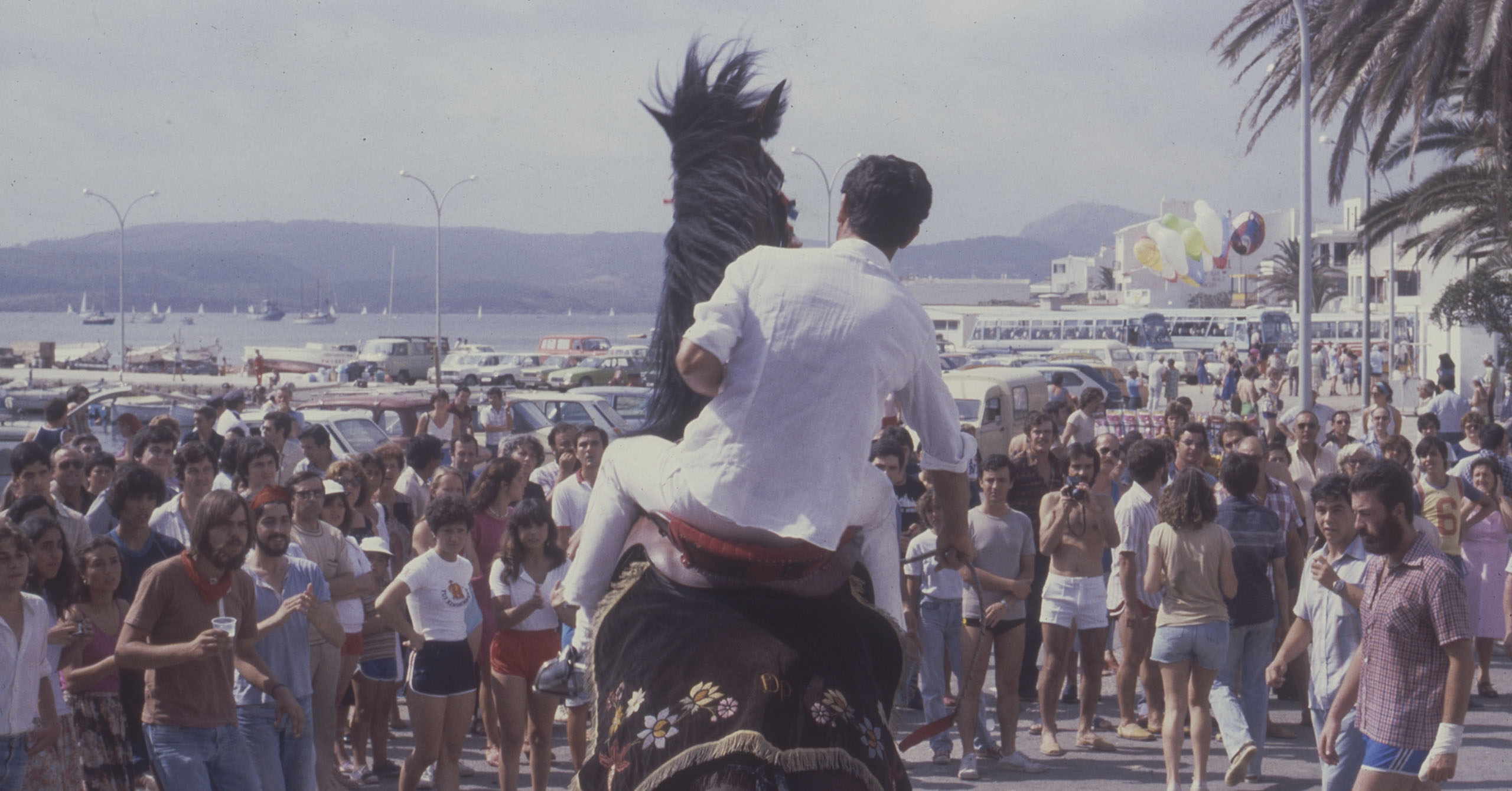 Caixer amb vistes a sa Badia de Fornells