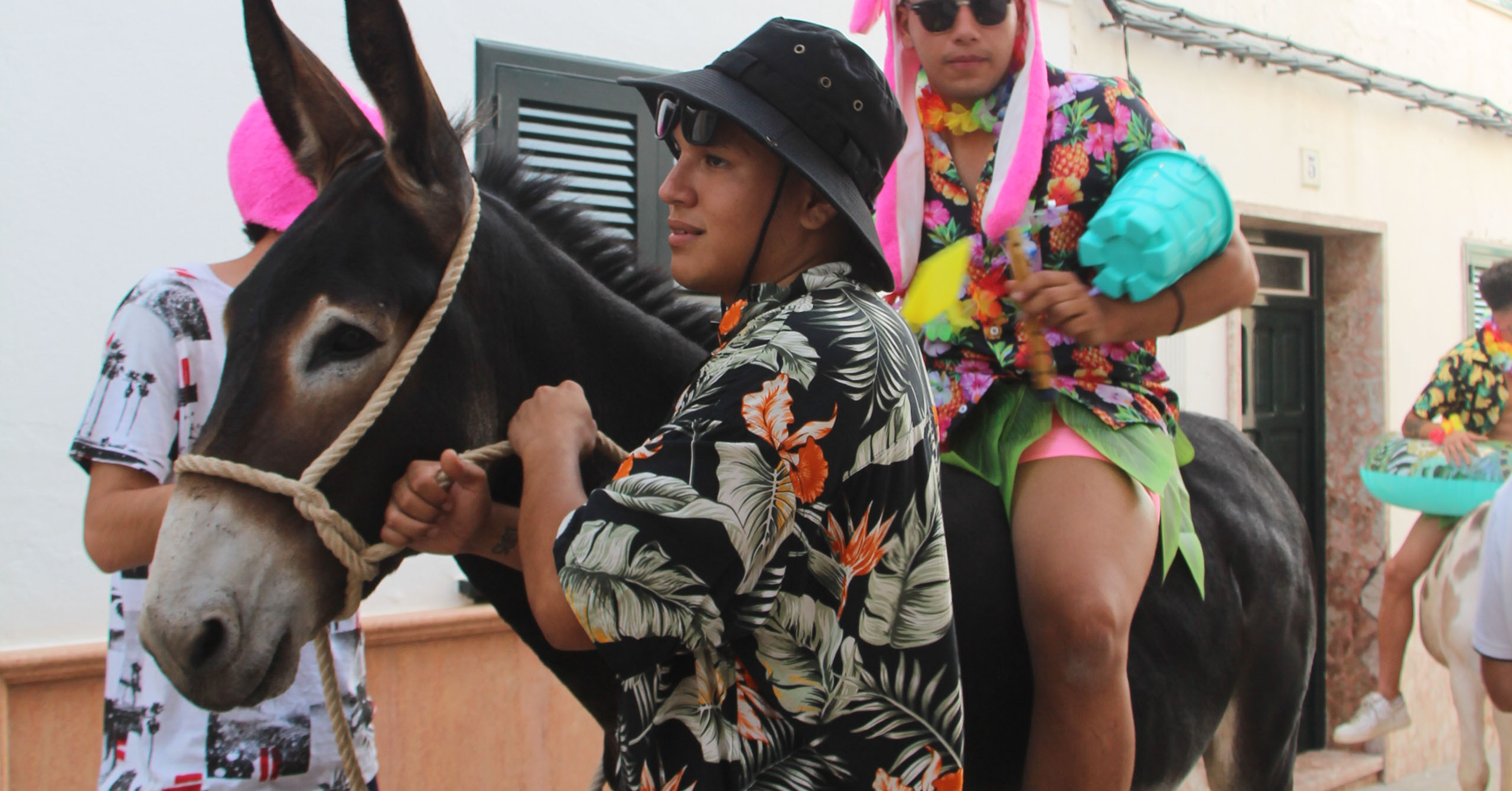 Caragol des Jaleo d'ases