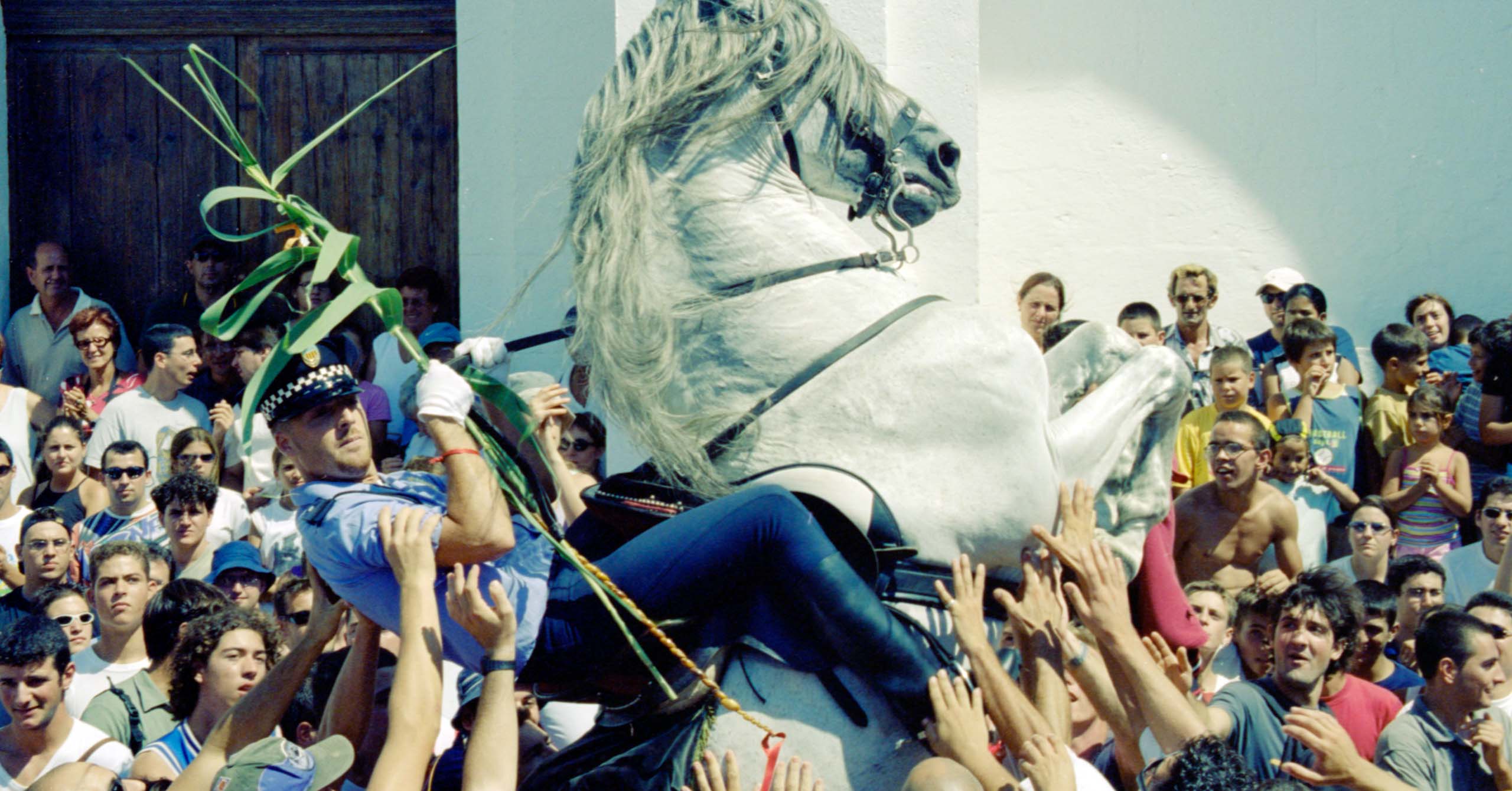 Caixer saig amb sa canya verda