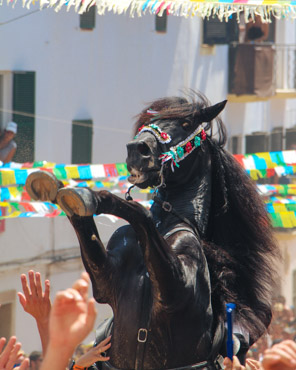 Caballo realizando un bot